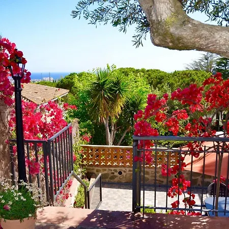 Arts House - Cabrils, Maresme, Barcelona Apartment *